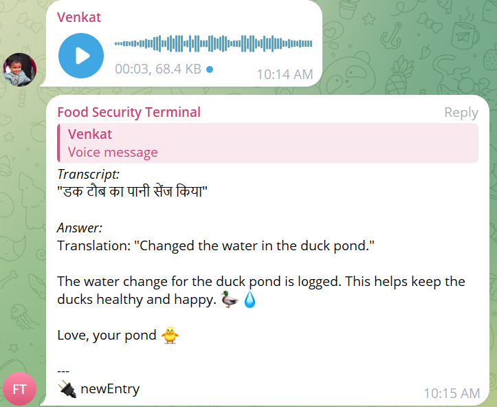 Translated garden observations